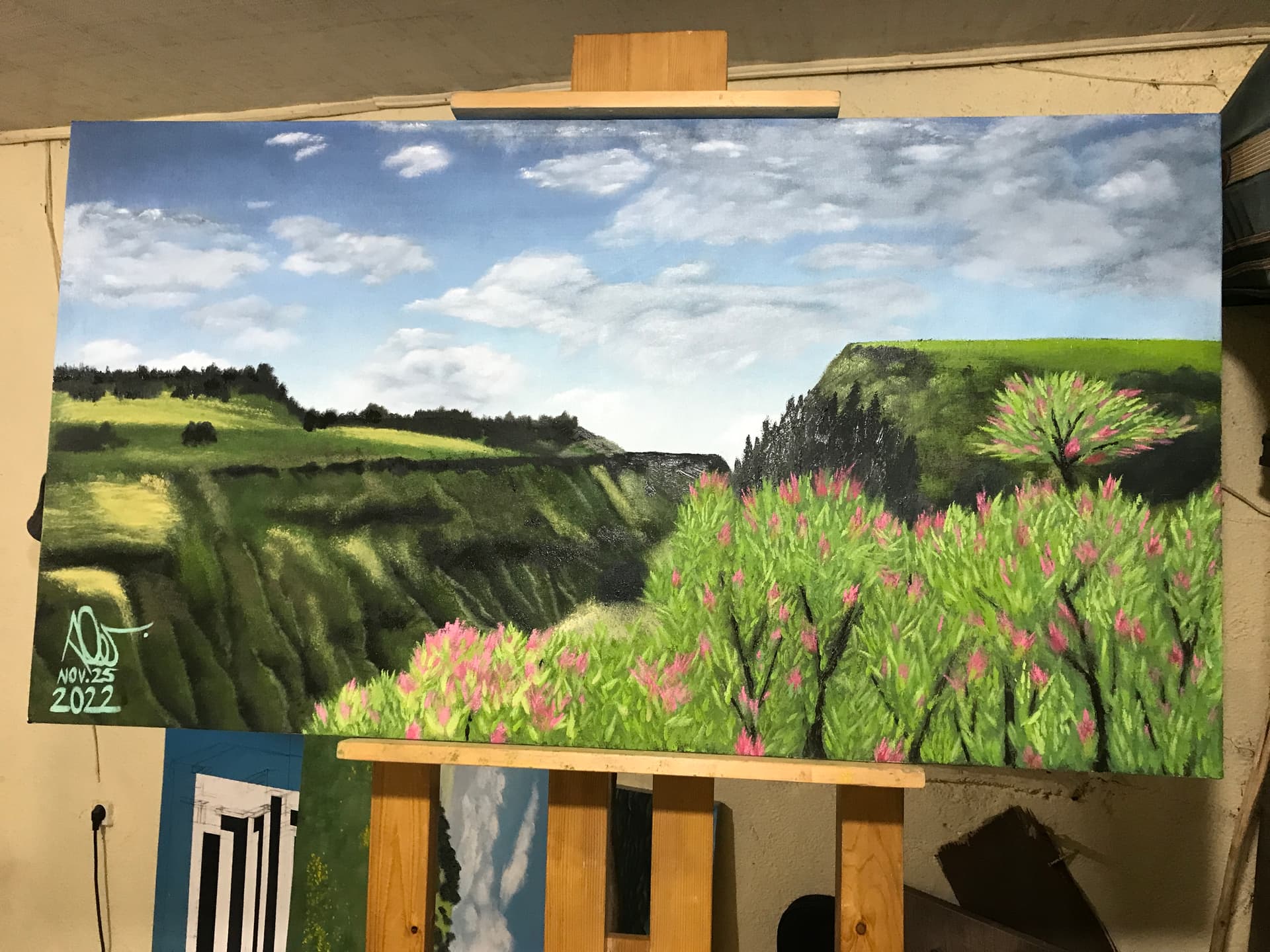 Landscape I